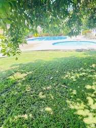 imagen de RENTA DE CASA CON ALBERCA Y JARDÍN _1