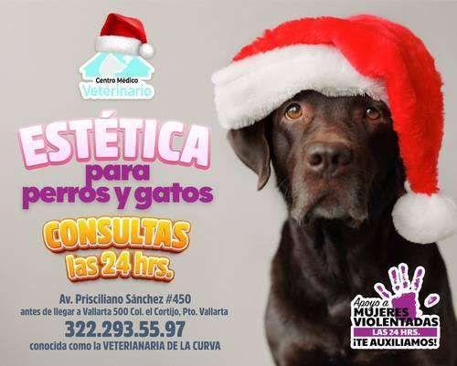 imagen de ATENCIÓN MEDICA LAS 24hrs _1