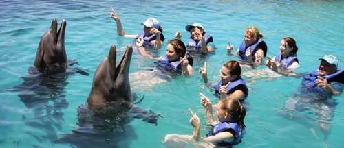 imagen de VE EN PRIVADO_2