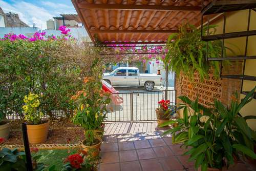 imagen de Terralta 1 Cedro 141_2