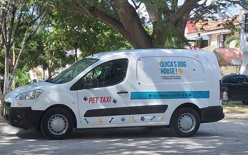 imagen de ESTETICA CANINA_2