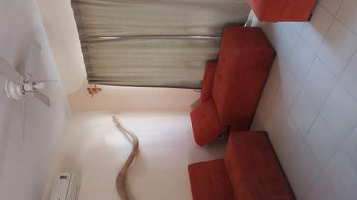 imagen de CASA SEMI AMUEBLADA_2