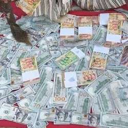 imagen de +2348166580486 #Where to see an Occult in Ghana _2