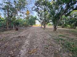 imagen de BONITO TERRENO PLANO DE 8,034 M2. EN BUCERIAS, NAY_2