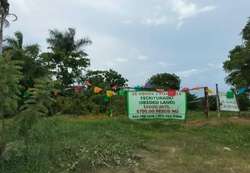 imagen de REMATO TERRENO_3