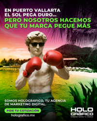 imagen de Agencia de Marketing en Puerto Vallarta_3