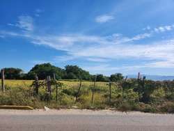 imagen de EXCELENTE TERRENO 2.78 HECTÁRES CON AMPLIO FRENTE_3