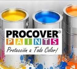 imagen de Pintar Y Cambiar Fachada Venta De Pintura_4