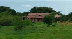 imagen de REMATO TERRENO_4