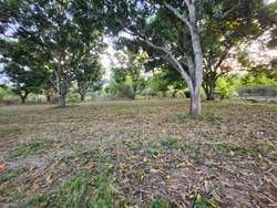 imagen de BONITO TERRENO PLANO DE 8,034 M2. EN BUCERIAS, NAY_4