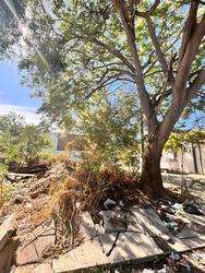 imagen de Construye tu próximo proyecto en Puerto Vallarta_4