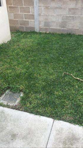 imagen de SE RENTA casa en el Campestre_5