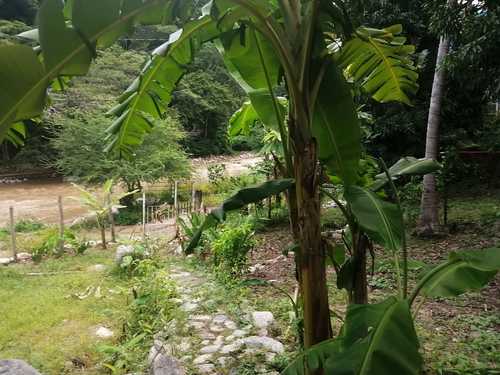 imagen de House for rent in Boca de Tomatlán_5