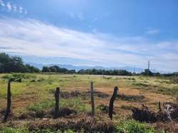 imagen de EXCELENTE TERRENO 2.78 HECTÁRES CON AMPLIO FRENTE_5