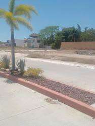 imagen de SE VENDE TERRENO RESINDENCIAL EN AGAVE AZUL _5
