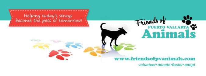 Portada de Friends of Vallarta Animals 